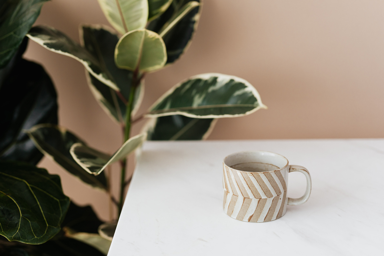 Coffee cup on table near green plant